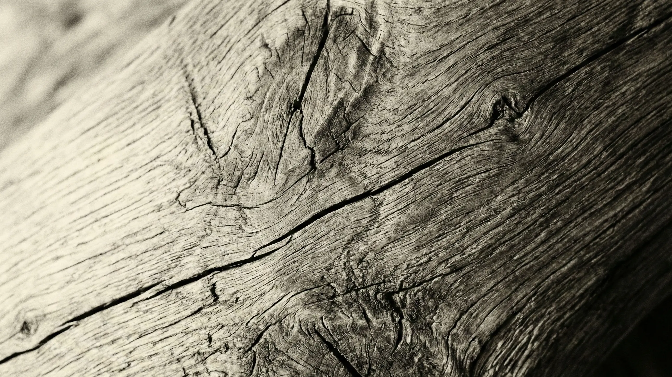 Weathered wood grain texture